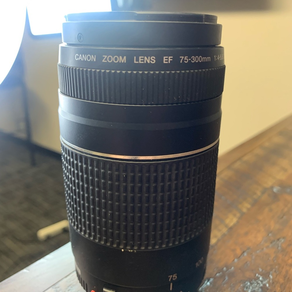 Canon Black and Silver Telephoto Lens - Picture 11 of 16